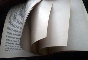 350px-Blank_page_intentionally_end_of_book